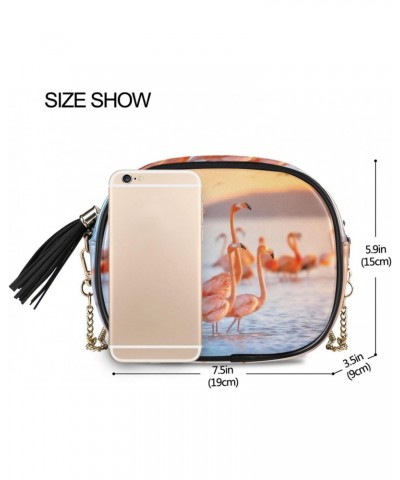 Women's Pink Flamingo Sun Crossbody Bag Fashion Purses Bag Cross Body Bag Shoulder Handbag with Adjustable Chain Strap $13.43...