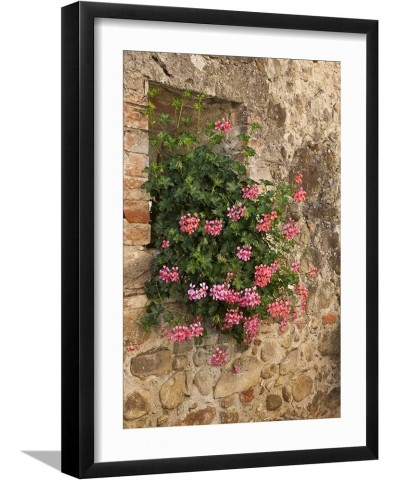 Stretched Canvas Print Italy, Tuscany. Pink ivy geraniums blooming in a window in Tuscany. by Julie Eggers, 12x18 12" x 18" B...