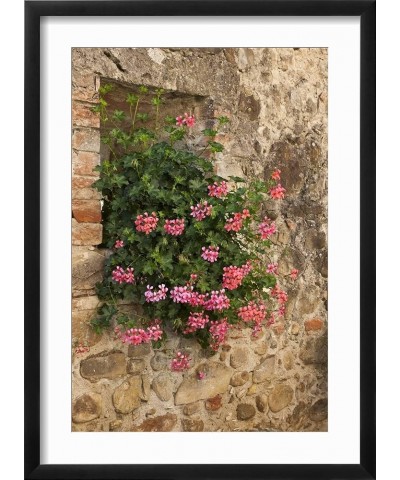 Stretched Canvas Print Italy, Tuscany. Pink ivy geraniums blooming in a window in Tuscany. by Julie Eggers, 12x18 12" x 18" B...