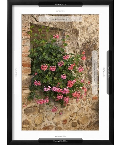 Stretched Canvas Print Italy, Tuscany. Pink ivy geraniums blooming in a window in Tuscany. by Julie Eggers, 12x18 12" x 18" B...